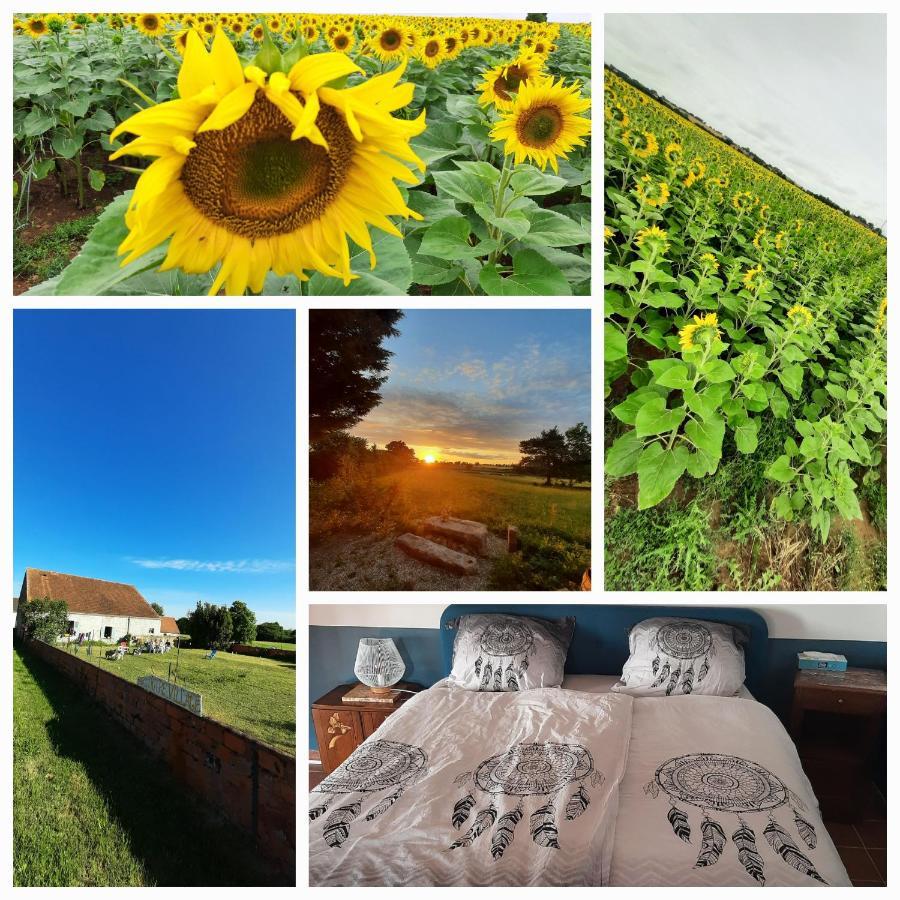 Notre Village Papillon Bed&Breakfast Neret Luaran gambar